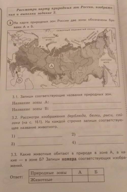 ВПР 4 КЛАСС (ДАМ 15 Б.) ​