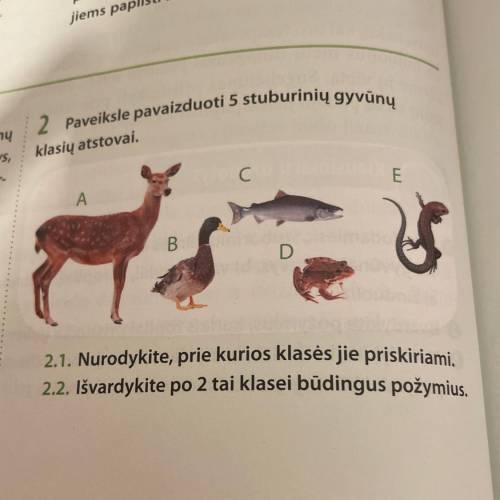 2. на рисунке 5 позвоночных представителя класса. 2.1 укажите, к какому классу они принадлежат. 2.2