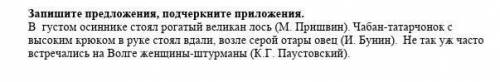 Запишите предложения, подчеркните приложения. В  густом осиннике стоял рогатый великан лось. Чабан-т