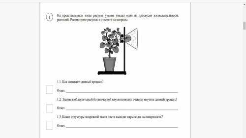 На представленном ниже рисунке ученик увидел один из процессов жзизнедейственость растений.