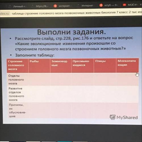 4 . Выполни задания. Рассмотрите слайд, стр.228, рис.176 и ответьте на вопрос «Какие эволюционные из