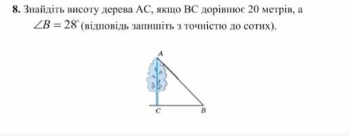 Терміново! До іть будь-ласка з геометрією. Знайдіть висоту дерева AC, якщо BC дорівнює 20 м, a