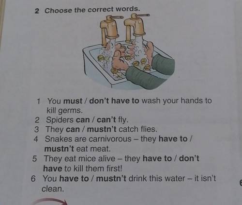 2 Choose the correct words. 1 You must don't have to wash your hands tokill germs.2 Spiders can/can'