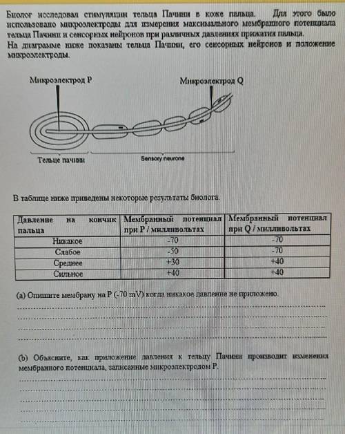 с подробным объяснением​