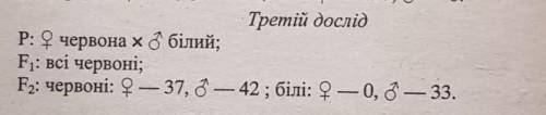 Запрашиваю супе разумов, и всевышнего который это решит ​