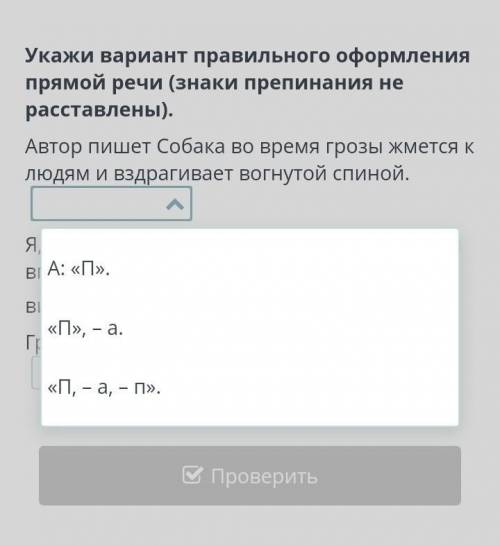 Укажи вариант правильного оформления прямой речи (знаки препинания не расставлены). Автор пишет Соба