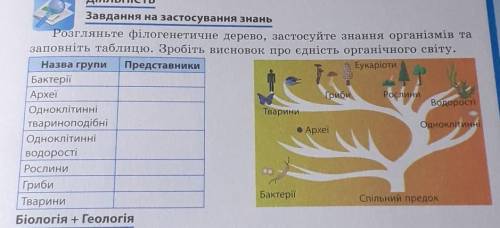 Розгляньте філогенетичне дерево, застосуйте знання організмів та заповніть таблицю. Зробіть висновок