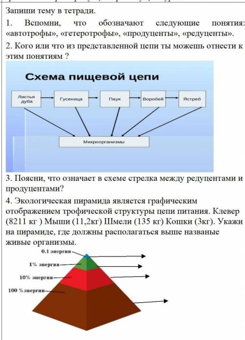 Тест по естество ЗАРАНЕЕ БЛАГОДАРЮ ​