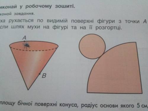 Муха рухається по видимій поверхні з точки А в точку В. Накресли шлях мухи на фігурі та на її розгор