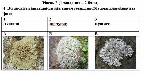 іб графічного відображення родинних зв’язків це: А) Кладограма; Б) Графік; В) Циклограма. 2. Які