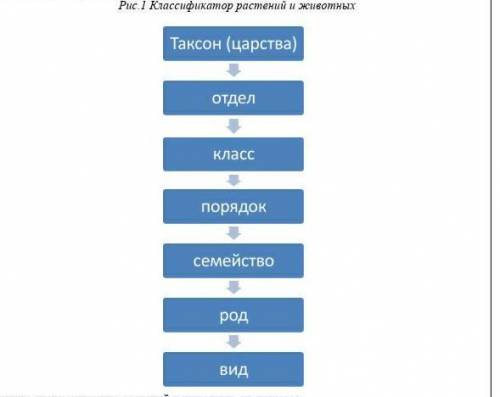 Животного мира. Систематика – ………стр.142Таксон – это…….стр.143Вид –……………стр.144Теза- ………стр.145Антит