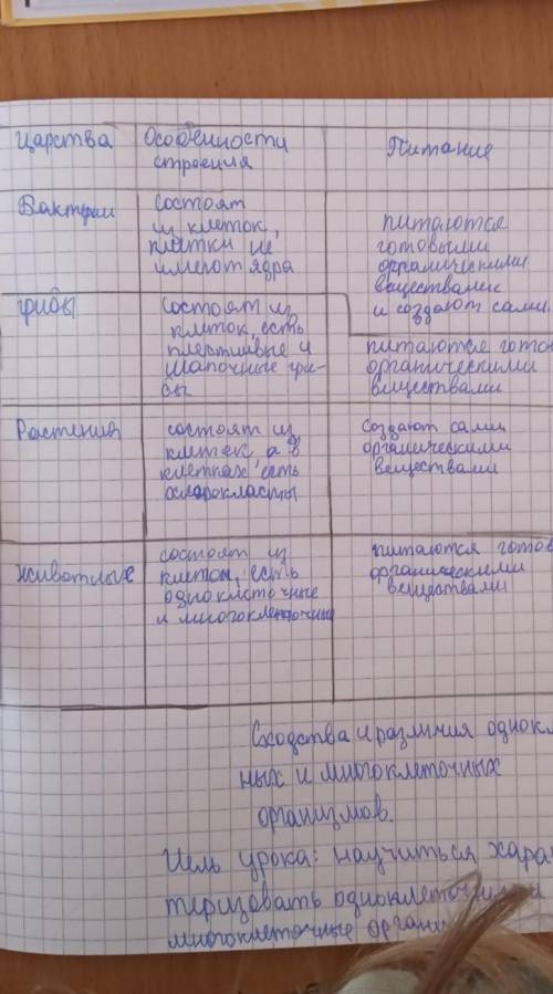 Людину інколи називають прикладом неотенії.Доведіть чи спростуйте це твердження​