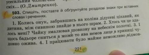 Поставити розділові знаки при вставних словах і реченнях