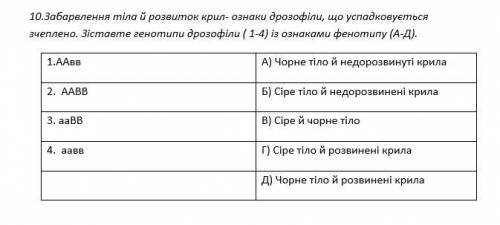 8.Установіть відповідність записаних генотипів (1-4) та їхнім визначенням (А-Д) 10.Забарвлення тіла