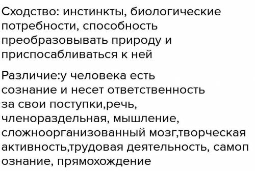 В чём сходство человека и ящерицы, человека и любого живого существа на земле?​