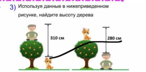 Используя данные в нижеприведенным рисунке, найдите высоту дерева​