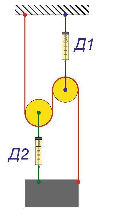 На системе блоков висит груз. Сравните показания динамометров Д1 и Д2. Трения нет, динамометры, блок