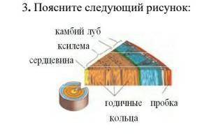 Добрый день мне ,заранее .​