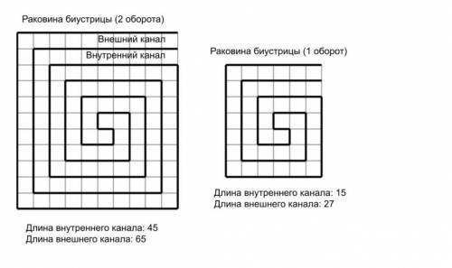 Раковины странных моллюсков, названных впоследствии биустрицами. Эти моллюски выделялись тем, что де