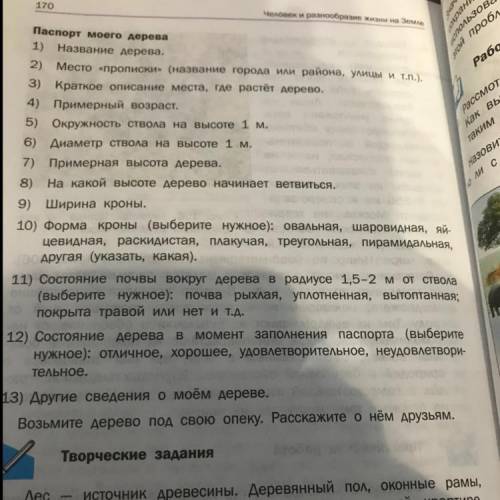 Сделайте паспорт дерева по этим вопросам дерево рябина