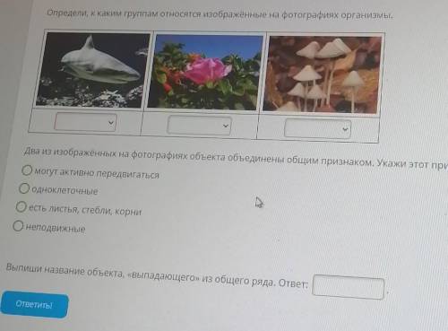 Определи, к каким группам относятся изображённые на фотографиях организмы. Два из изображённых на фо