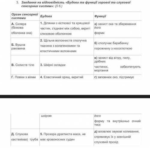 Завдання на відповідність «Будова та функції зорової та слухової сенсорних систем»