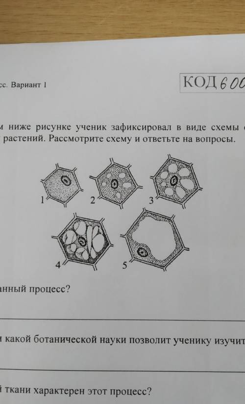 ВПР. Биология. 6 класс. Вариант 1 КОД 600-На представленном ниже рисунке ученик зафиксировал в виде