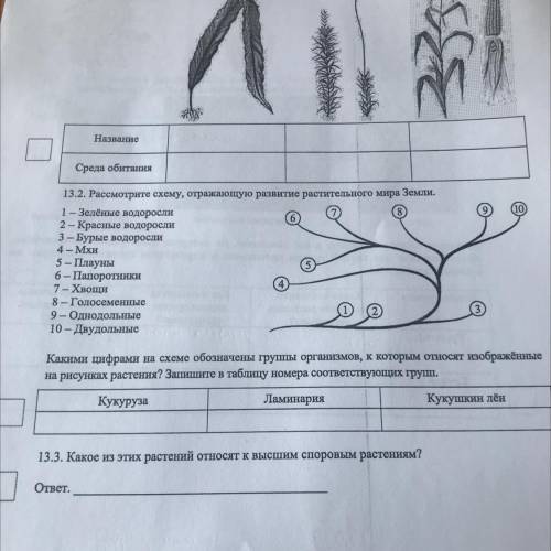 13.2. Рассмотрите схему, отражающую развитие растительного мира Земли. 1 – Зелёные водоросли 2 - Кра