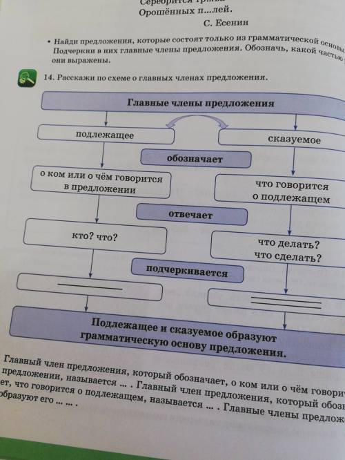 Расскажи по схеме о главных членах предложения