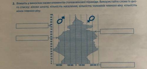 Впишіть у виносках назви елементів статеволікової піраміди. Використайте слова цьо-го списку вікова