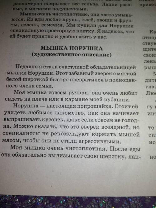 Написать сочинение - описание животного На фото образец. про любого животного на русском