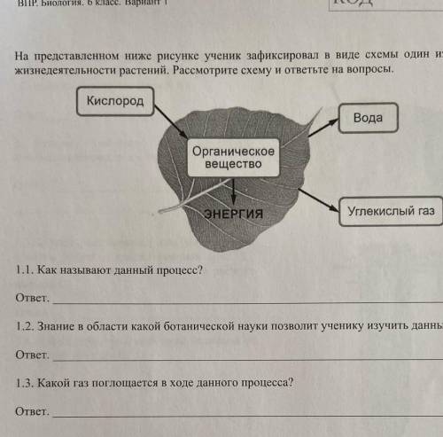 ) На представленном ниже рисунке ученик зафиксировал в виде схемы один из процессов жизнидеятельност