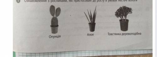 які риси є спільними для рослин що ростуть в вмовах нестачі вологи? Яке є в них пристасування? нужн