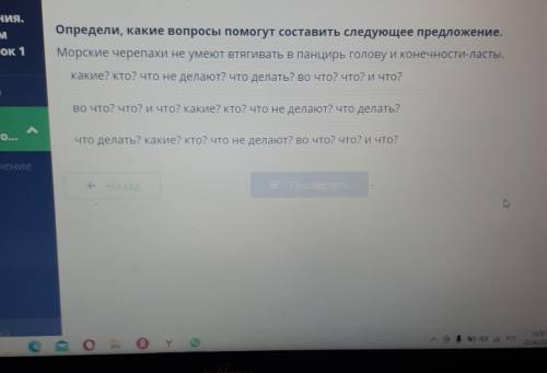 Определи Какие вопросы составить следующие предложения морские черепахи не умеют втягивать в панцирь