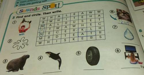 6 Listen and circle the words you hear. 1 bin-win - tin2 skate - eight - wait3 clock - walk - talk4 