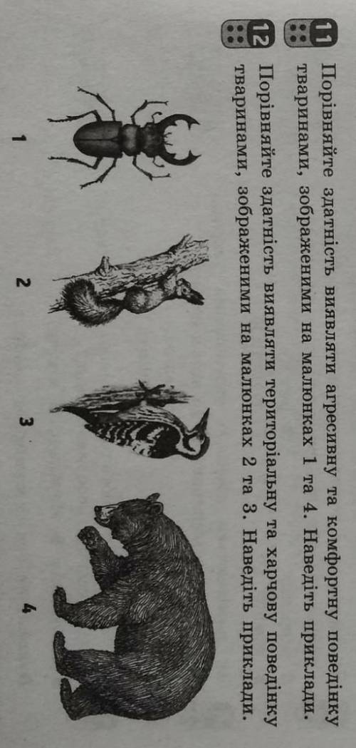 Порівняйте здатність виявляти агресивну та комфортну поведінку(жук олень та ведмідь)​