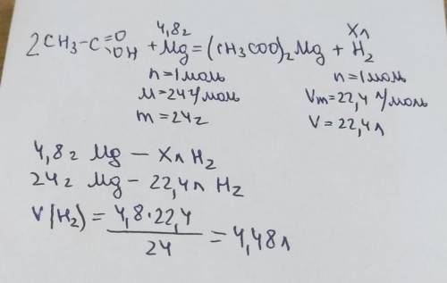 Обчисліть і вкажіть об’єм газу в л (н. у.), який виділиться, якщо 4,8 г магнію помістити в розчин оц