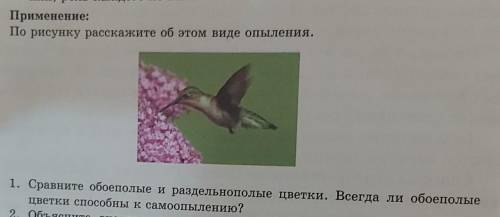 По рисунку расскажите об этом виде опыления. 1. Сравните обоеполые и раздельнополые цветки. Всегда л