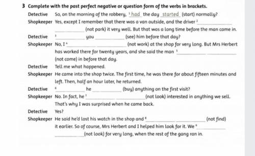 Complete with the past perfect negative or question form of the verbs in brackets.