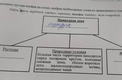 8 Заполните пустые ячейки на схеме, выбрав необходимые слова из приведённого списка.Тайга, рысь, вер