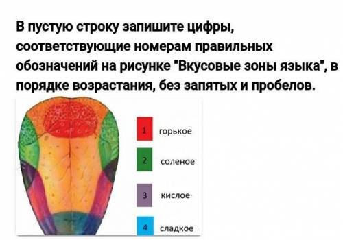 ,на этом вопросе спотыкаюсь уже какой раз, ответ 14 считает неправильным,хотя кислый и соленый помен