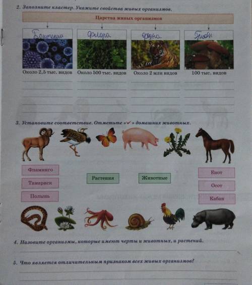 2. Заполните кластер, Укажите свойства живых организмов. Паретви милых организмой.JuaweweОхилру,Trud