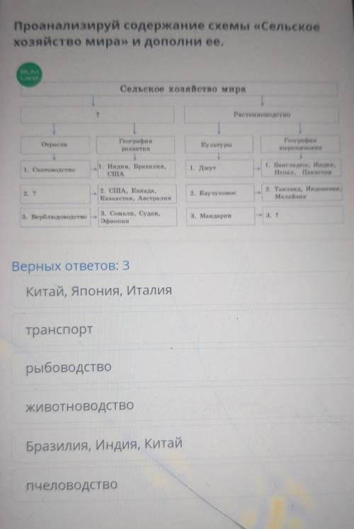 Проанализируй содержание схемы «Сельское хозяйство мира» и дополни ее.ВАМСельское хозяйство мира?Рас
