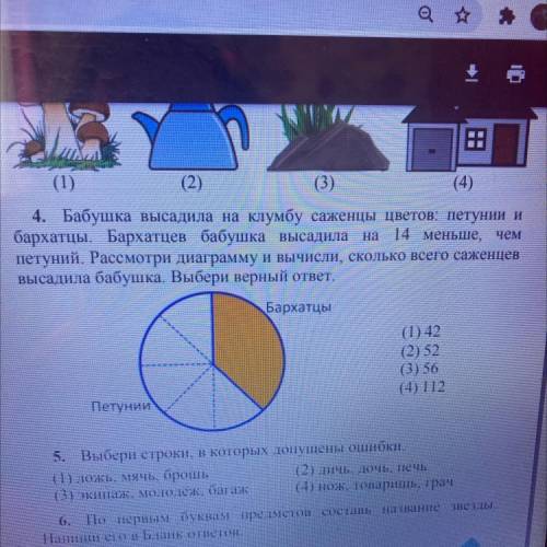 На 4. Бабушка высадила на клумбу саженцы цветов: петунии бархатцы. Бархатцев бабушка высадила 14 мен