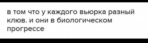 Докажите, что разные виды вьюрков на Галапагосских о-вах образовались в результате дивергенции. по б