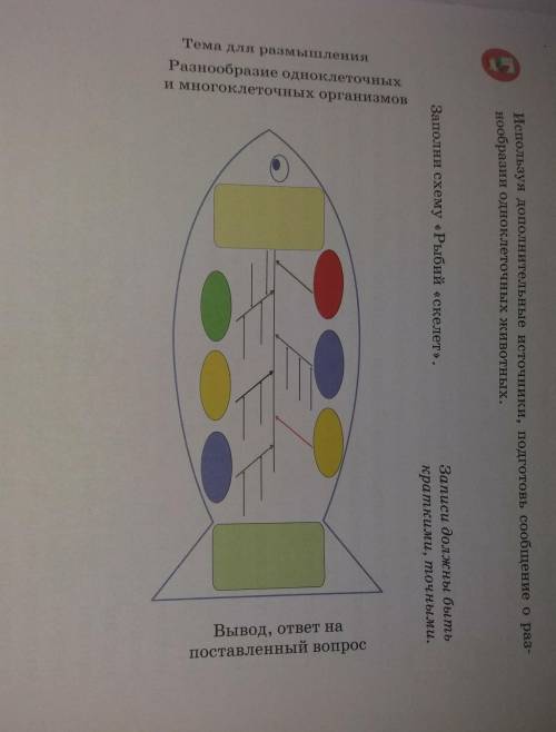 тема сходство и различие клеток очень ​