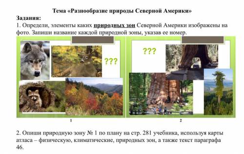 выполнить практическую работу, география 7 класс