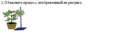 Обясните процесс изображенный на рисунке​