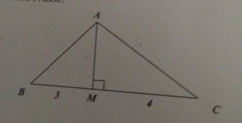 3. Як відносяться площі трикутників AMC i АВМ? АА) 4:3;b) 16:9;В) 3:7;Г) не можна визначити.​