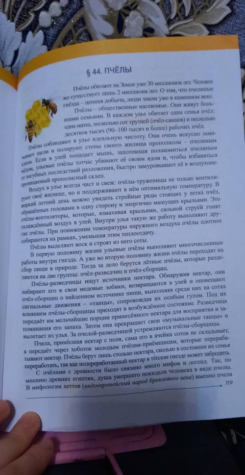 5. Составьте диаграмму Венна: «Пчёлы-разведчицы» и «Пчёлы-сборщицы».​